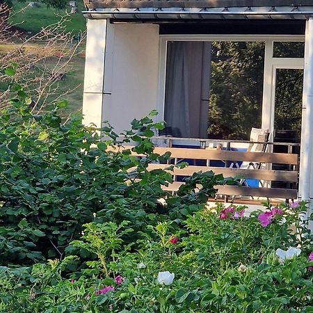 Gemuetliche Moderne Ferienwohnung Inkl. Wlan In St Andreasberg/Braunlange Sankt Andreasberg Luaran gambar